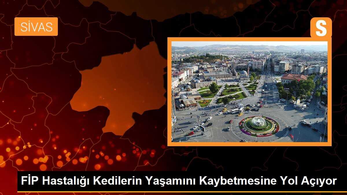 FİP Hastalığı Kedilerin Yaşamını Kaybetmesine Yol Açıyor