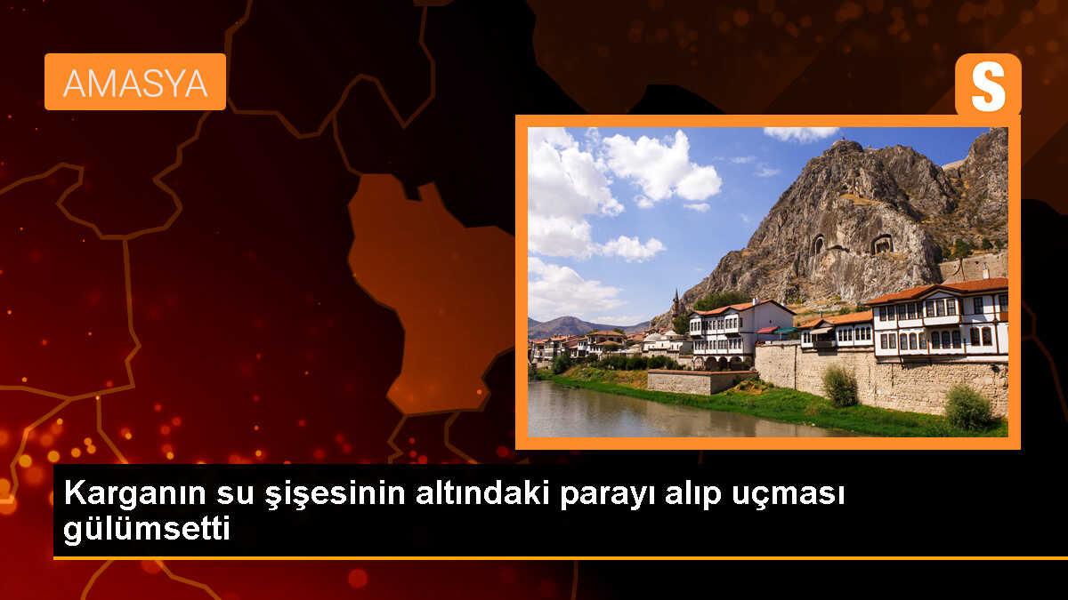 Amasya\'da bir karganın su şişesinin altına konulan 10 lirayı alıp uçması tebessüm ettirdi