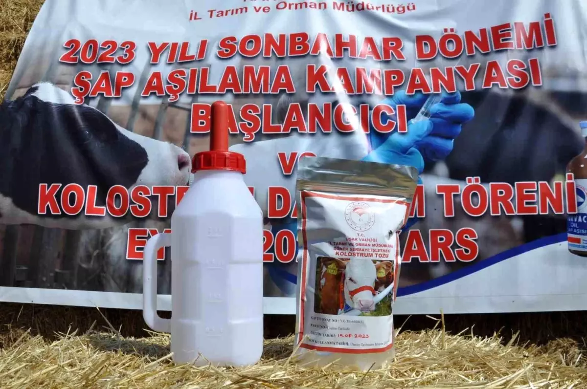 Kars\'ta Hayvancılara Kolostrum Dağıtıldı ve Şap Aşılama Kampanyası Başlatıldı