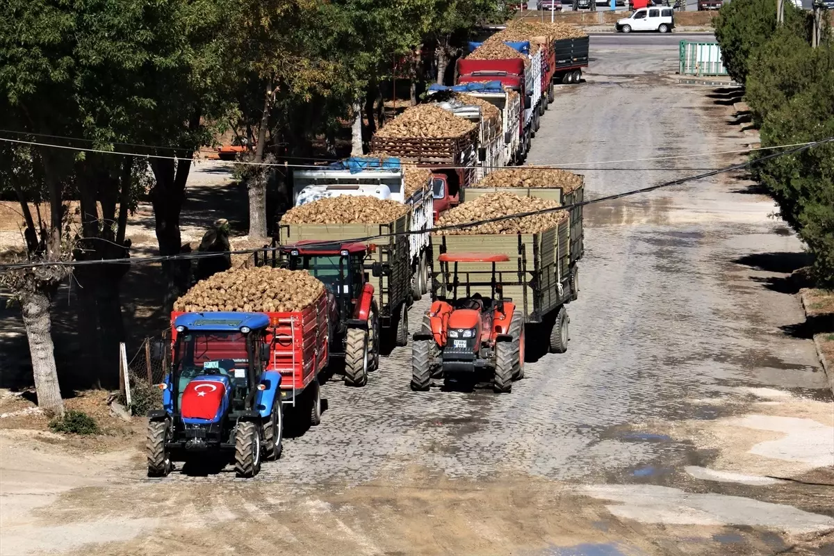 Kastamonu Şeker Fabrikası 61. Pancar Alım Kampanyası Başladı