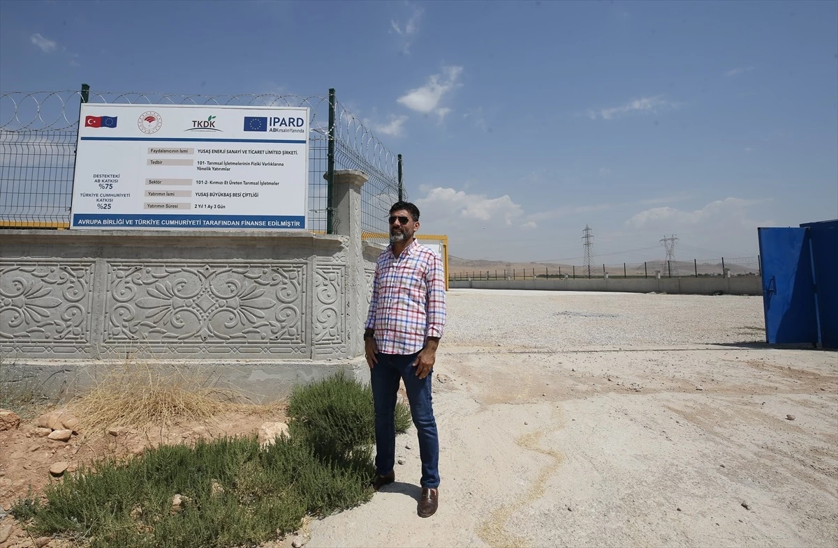 Mardin\'de TKDK destekleriyle kurulan çiftlik bölgenin kırmızı et açığını kapatıyor