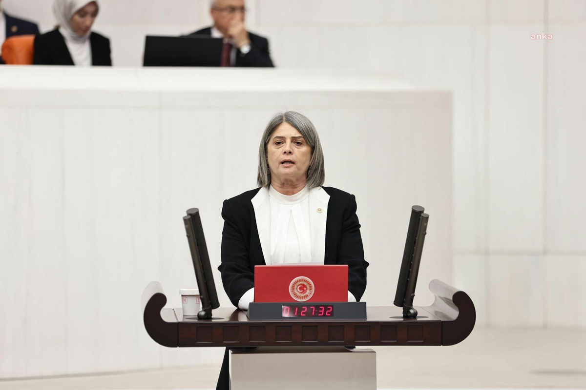CHP Milletvekili Sibel Suiçmez, turisti darp eden kişinin tutuklanmasına tepki gösterdi