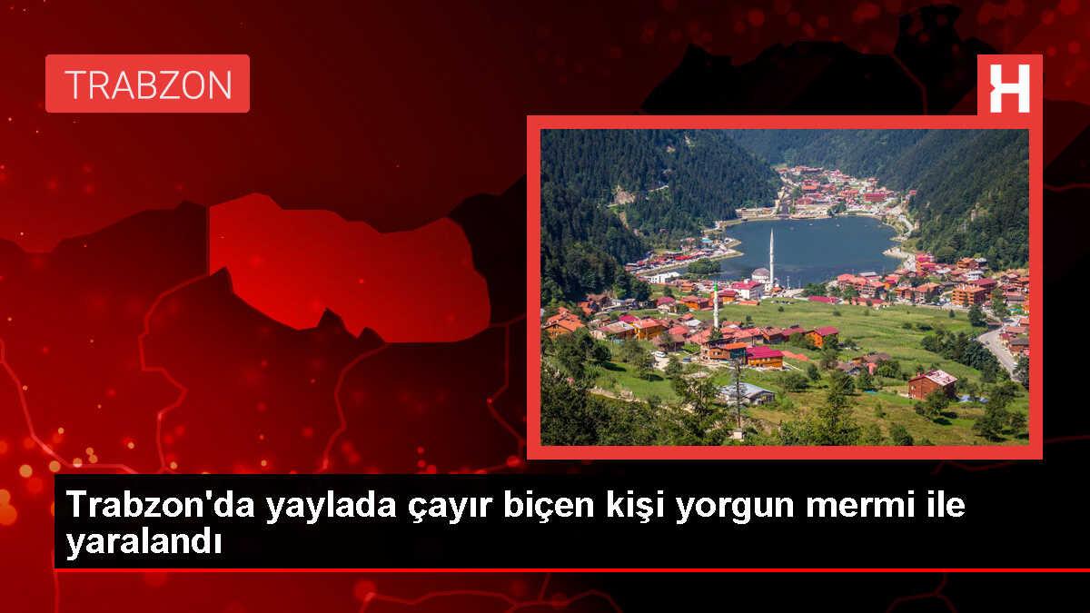 Trabzon'da Yaylada Yorgun Mermi İle Yaralanan Kişi