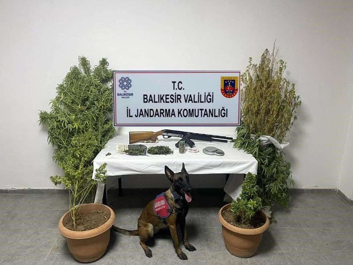 Ayvalık\'ta Uyuşturucu Operasyonu: Çok Miktarda Uyuşturucu Madde Ele Geçirildi