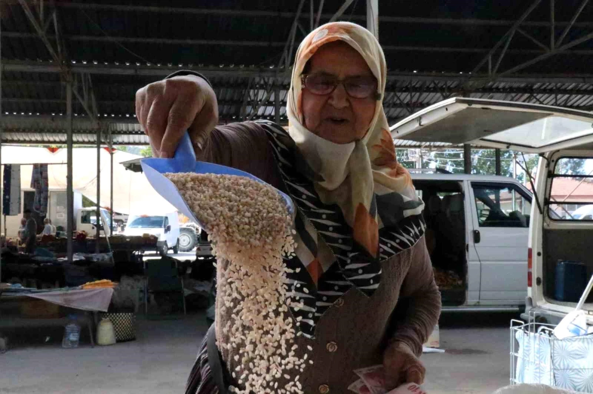 Çeltikdere Köyünde Üretilen Pirinç Yoğun Talep Görüyor