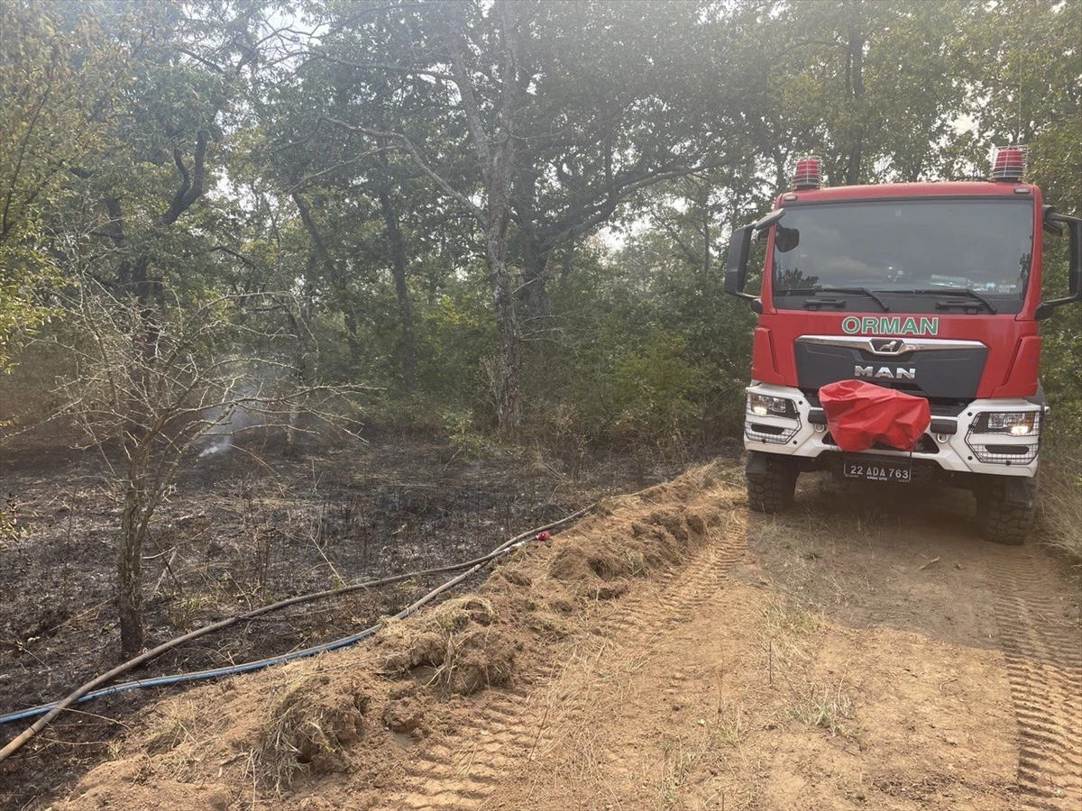 Edirne\'de sınır hattında ormanlık alanda çıkan yangına müdahale ediliyor