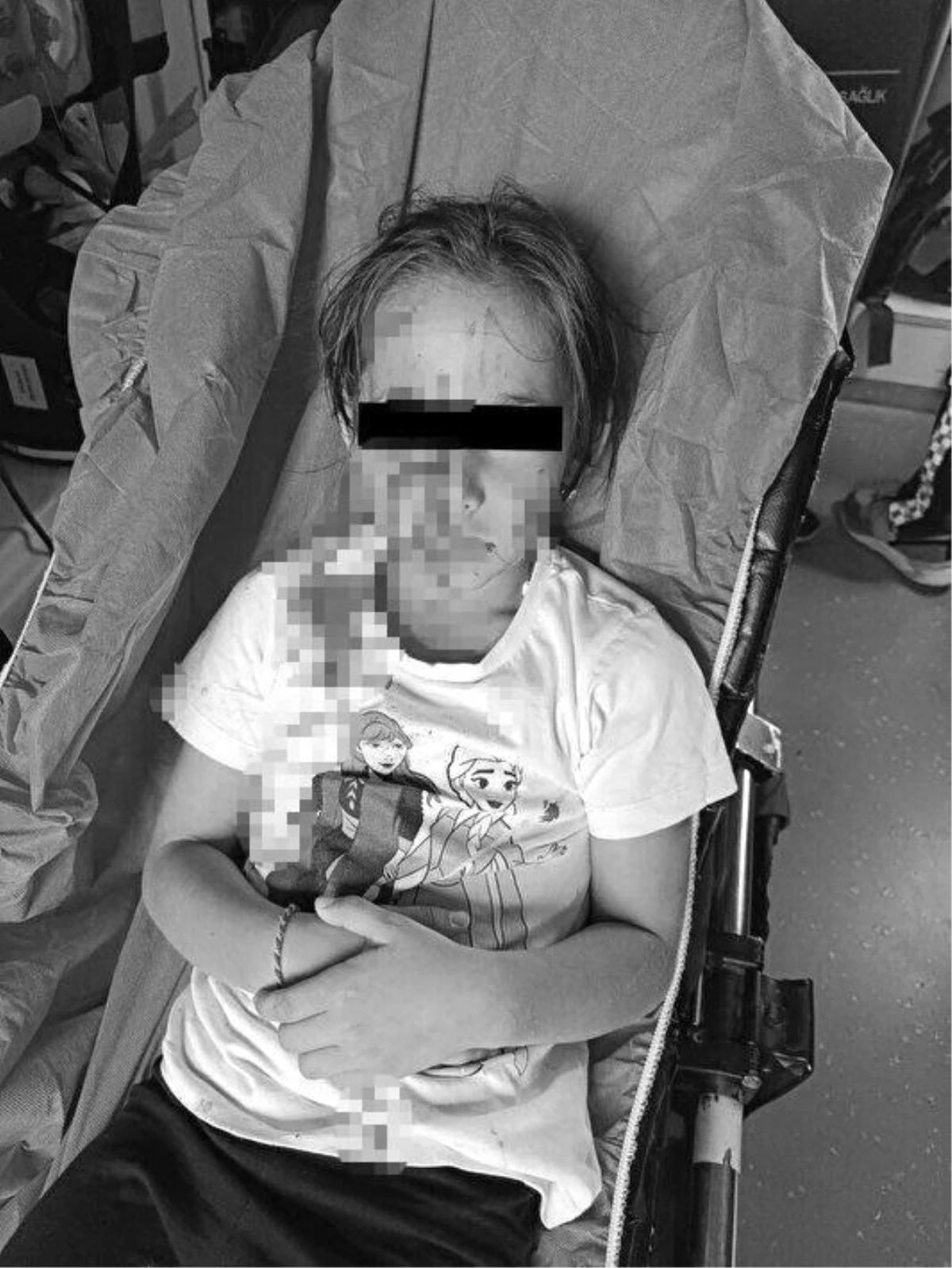 Esenyurt\'ta Başıboş Köpek Saldırısı: Küçük Kız Yaralandı