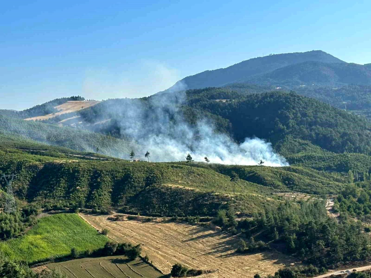 Denizli Honaz\'da Orman Yangınına Müdahale Ediliyor