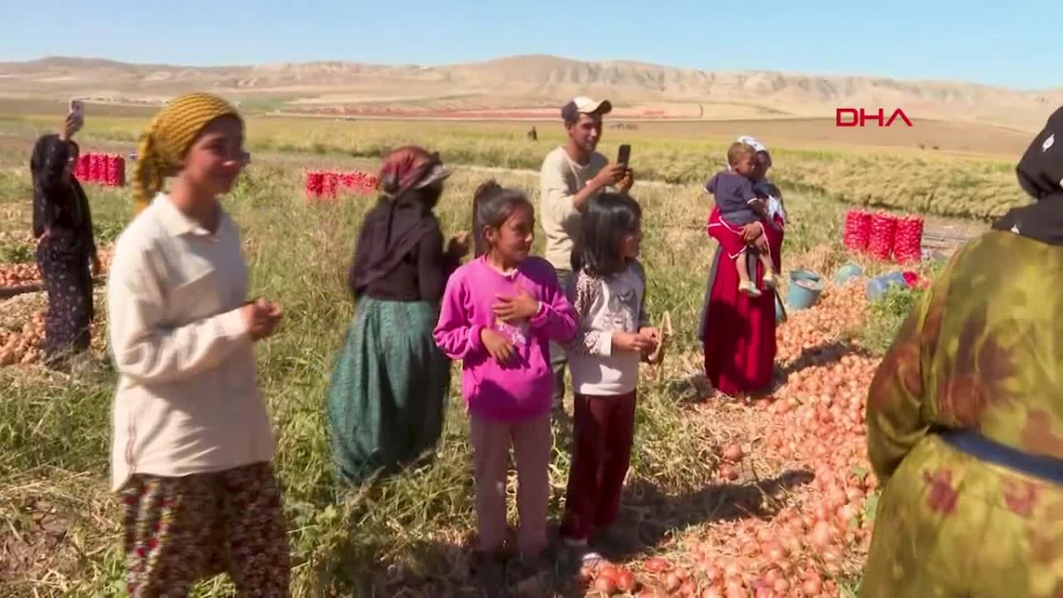 Kılıçdaroğlu, Bala\'da soğan üreticileri ve tarım işçileriyle buluştu