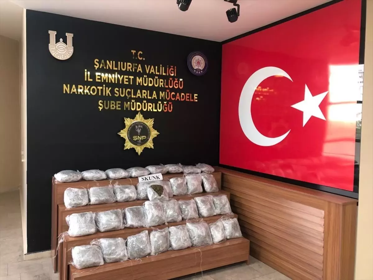 Şanlıurfa\'da 19 Kilo 450 Gram Skunk Ele Geçirildi