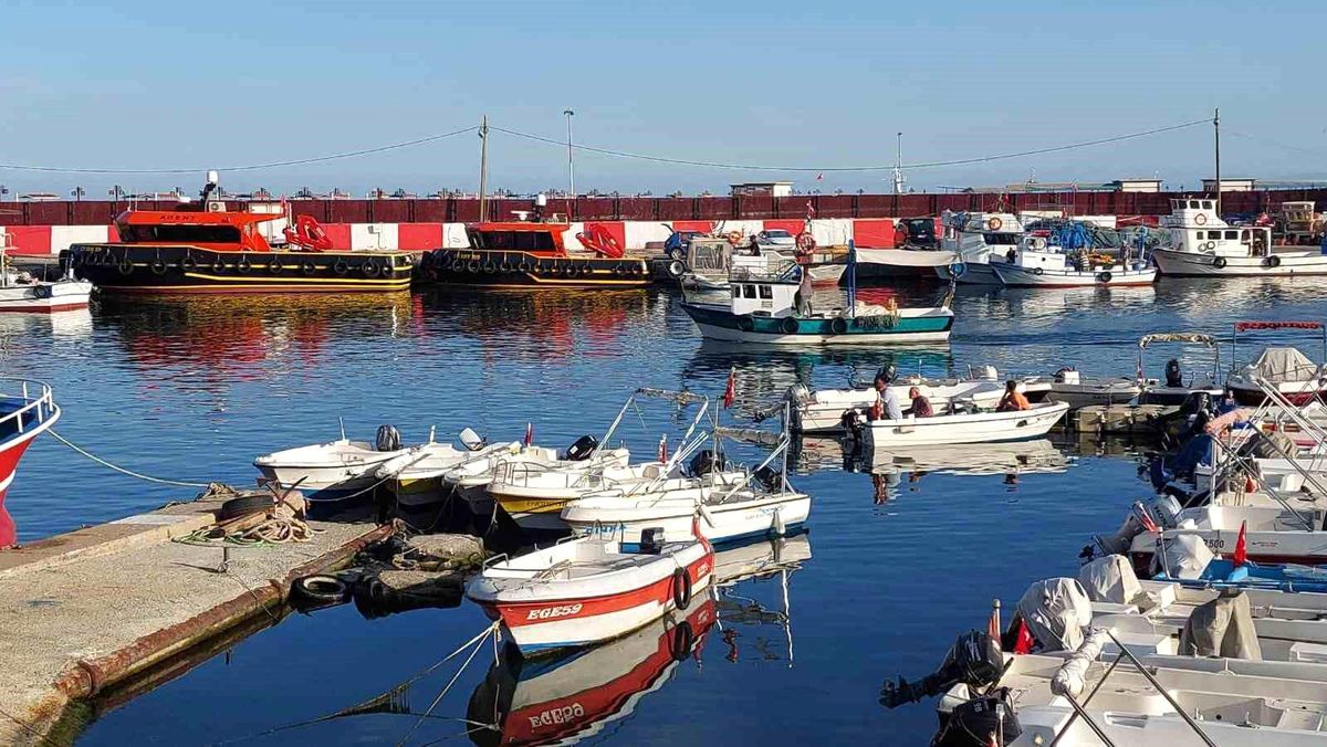 Tekirdağlı balıkçılar Marmara\'dan Karadeniz\'e rotayı çevirdi