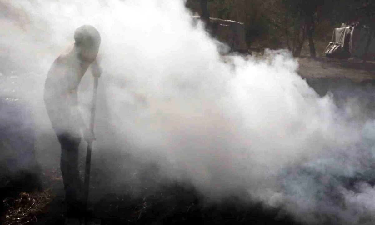 Kırıkkale\'de Mevsimlik İşçiler Zor Şartlarda Mangal Kömürü Üretiyor