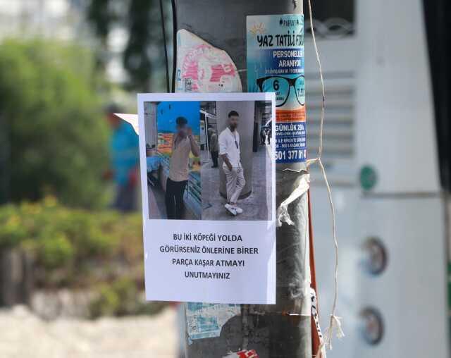 2 erkeğin olduğu fotoğrafa 'Bu köpekleri yolda görürseniz önlerine kaşar atın' yazdılar