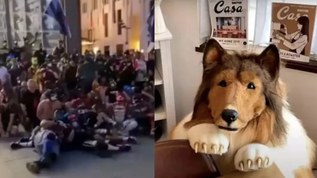 Berlin\'de kendilerini köpek olarak tanımlayan yüzlerce insan bir araya geldi