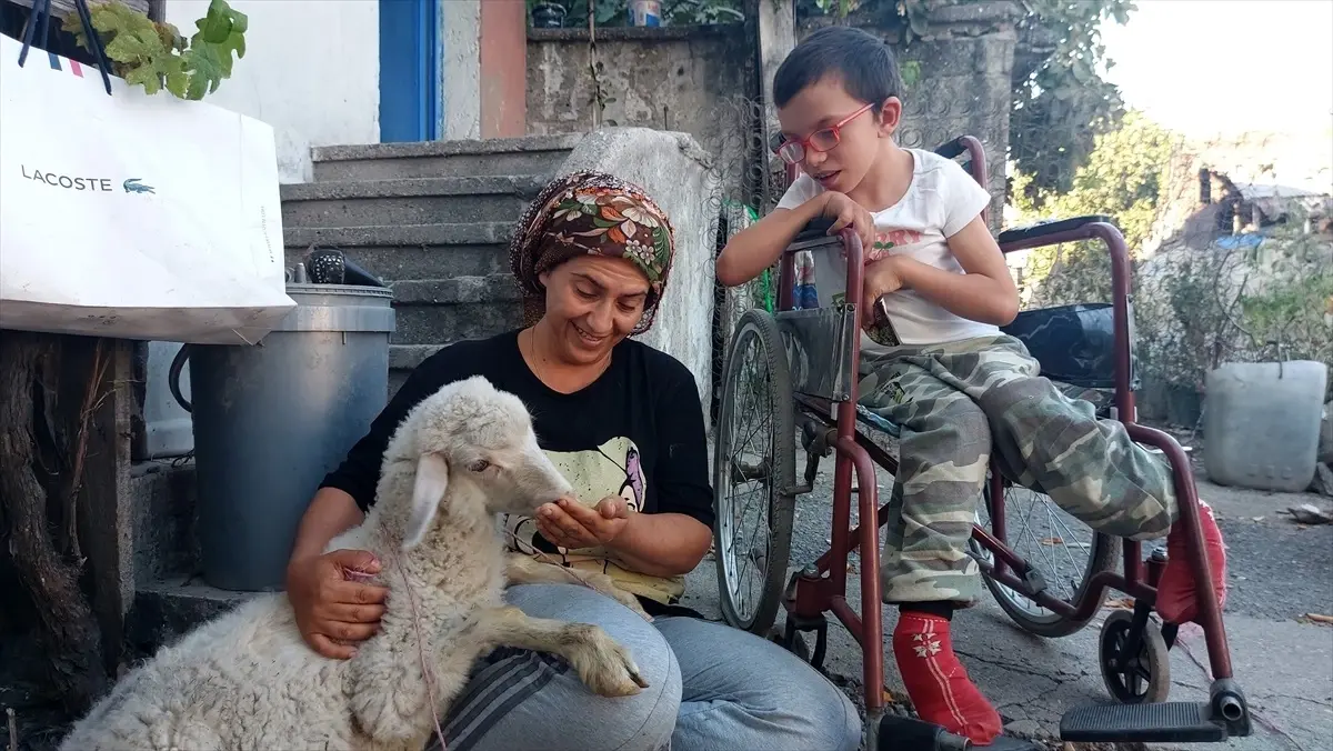 Engelli çocuğa hediye edilen kuzu her yere peşinden gidiyor
