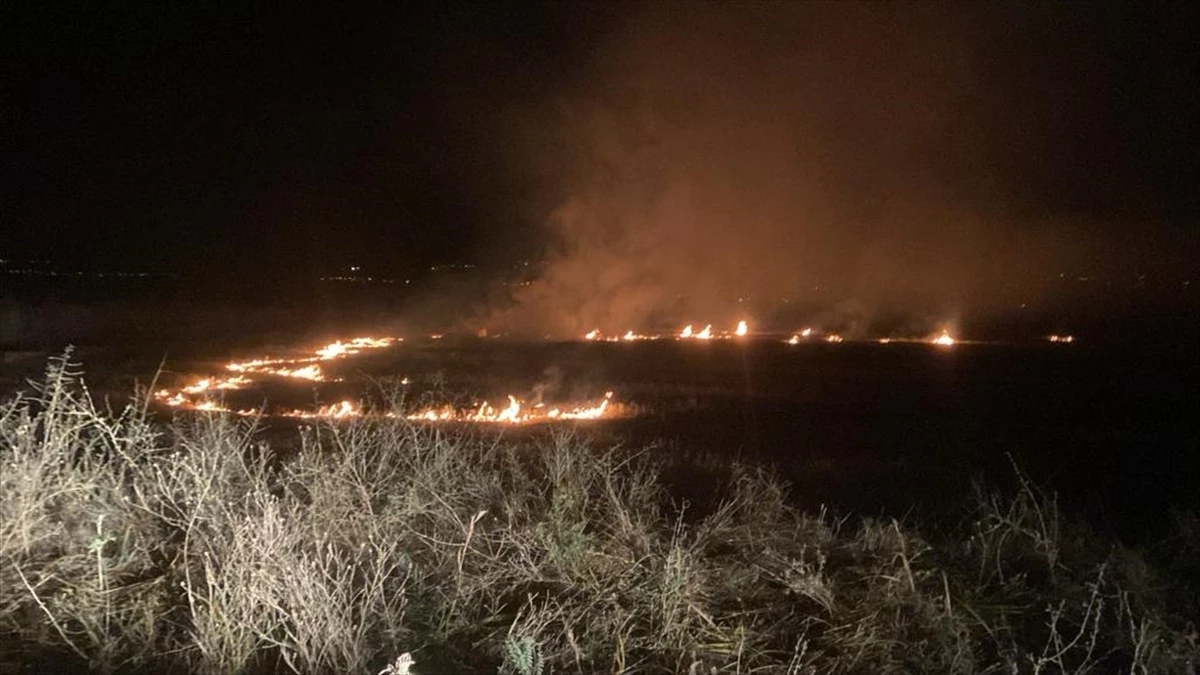 Erzincan\'da arazide çıkan yangın söndürüldü