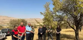 Gercüş ilçesinde doğaya 200 kınalı keklik bırakıldı