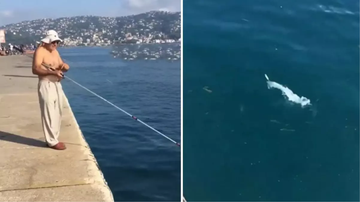 İstanbul\'da oltayla tutulan balığa araba çarptı