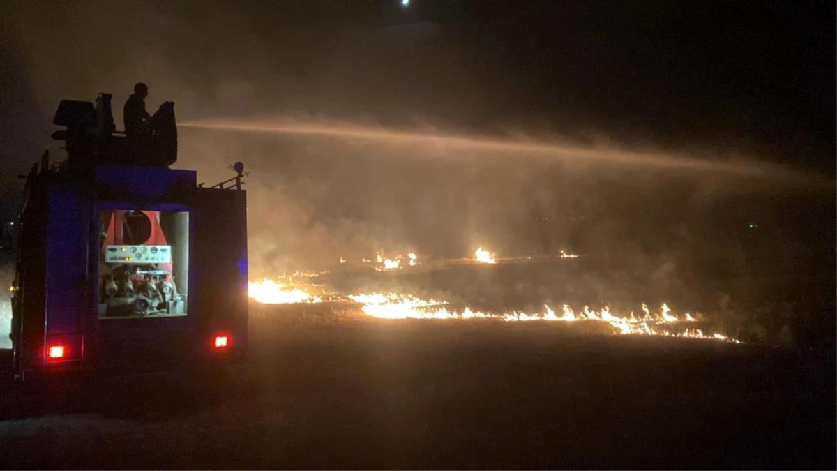 Erzincan\'da otluk arazide çıkan yangın kontrol altına alındı