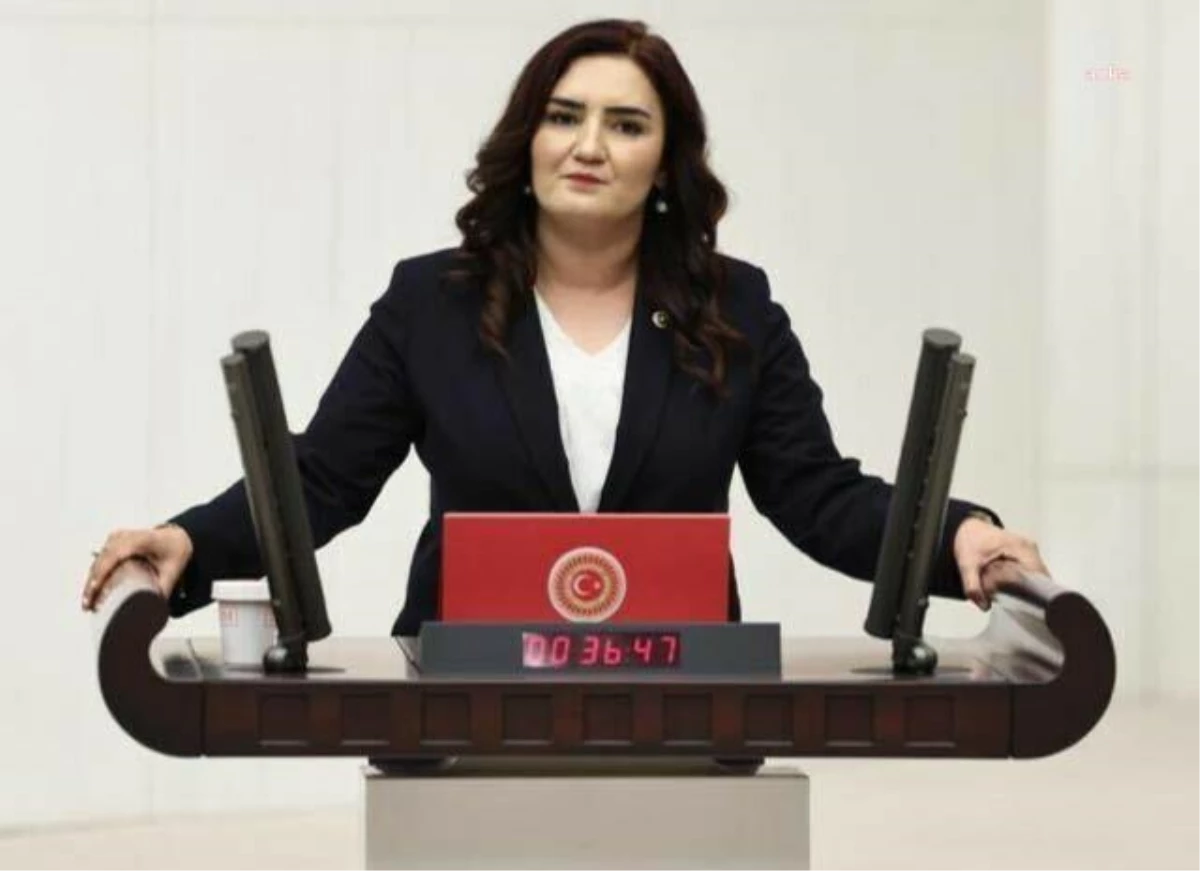 CHP Milletvekili, İzmir Atatürk Lisesi\'ndeki öğrencilere verilen yemekleri eleştirdi