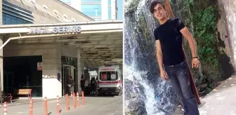 Siirt'te ayı saldırısına uğrayan genç çobanın yardımına köpekleri koştu