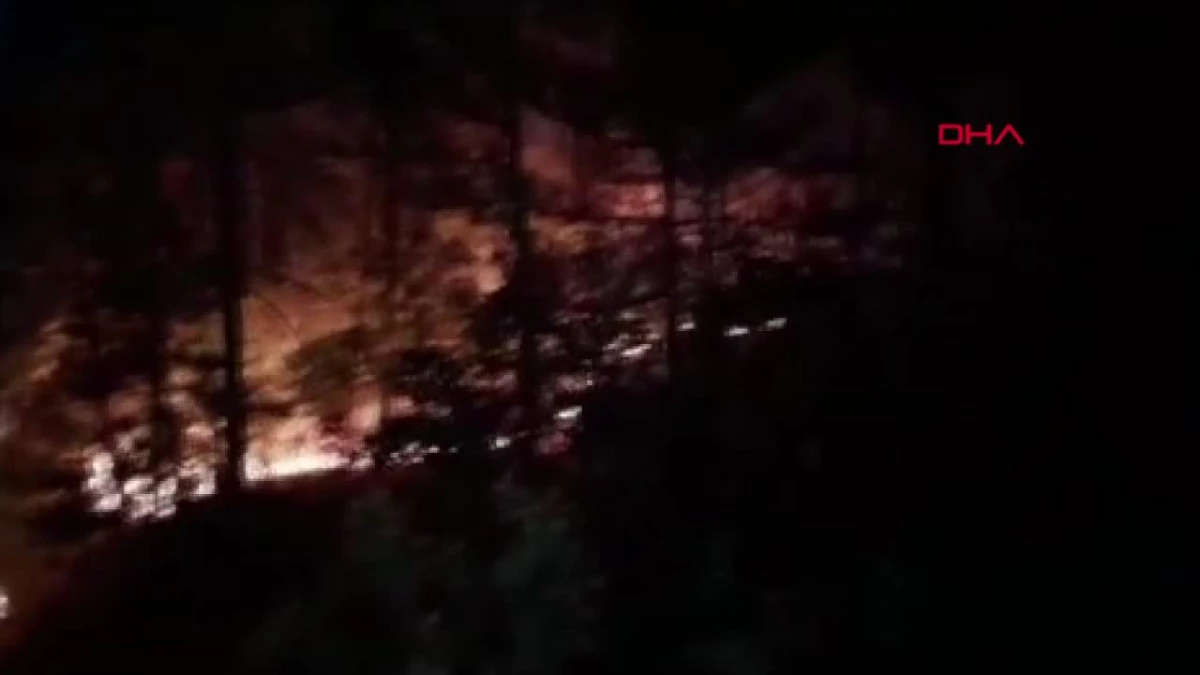Karabük\'te Orman Yangını: Vali Yavuz Açıklamalarda Bulundu