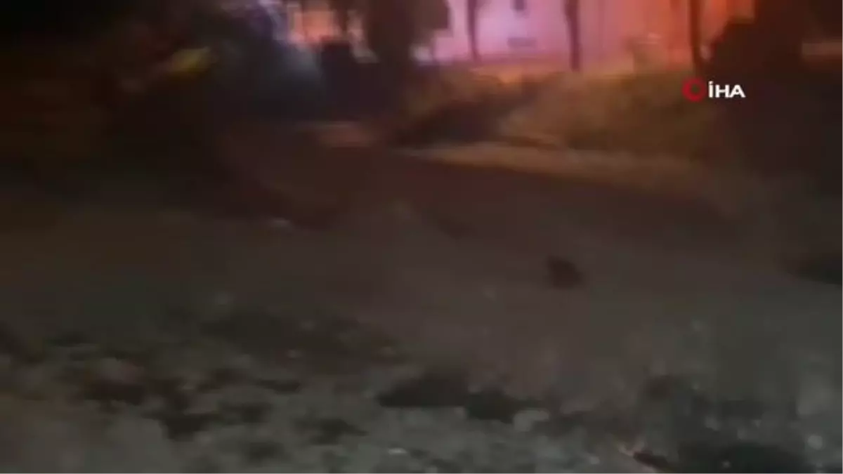 Ayılar Türkeli ilçe merkezine indi