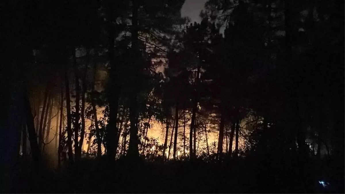 Çekmeköy\'de Ormanlık Alanda Çıkan Yangın Söndürüldü