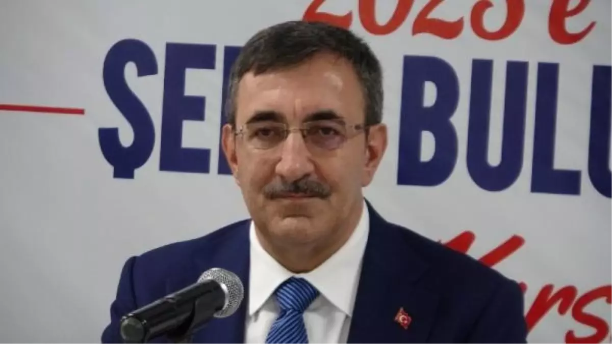 Cumhurbaşkanı Yardımcısı Yılmaz: Bağımsız Türkiye'yi dosta düşmana gösterdik