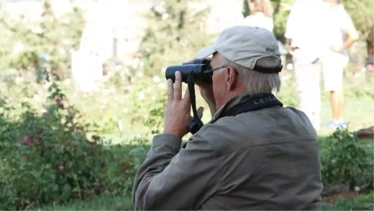 İSTANBUL\'DA YIRTICI KUŞ GÖÇÜ GÖZLEMİ