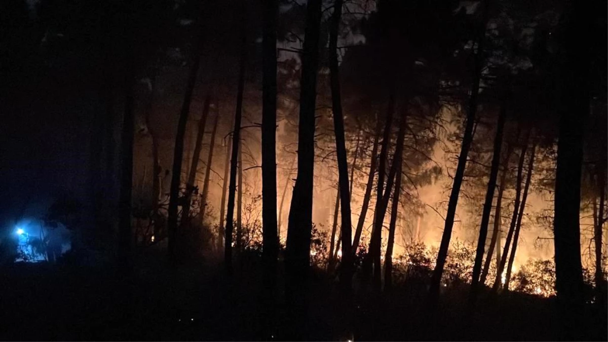 Gebze\'de çıkan yangın ormana sıçradı