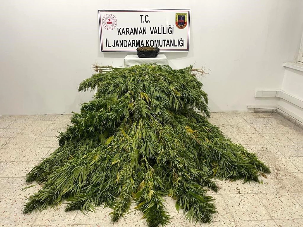 Karaman\'da mısır tarlasında uyuşturucu operasyonu: 2 gözaltı
