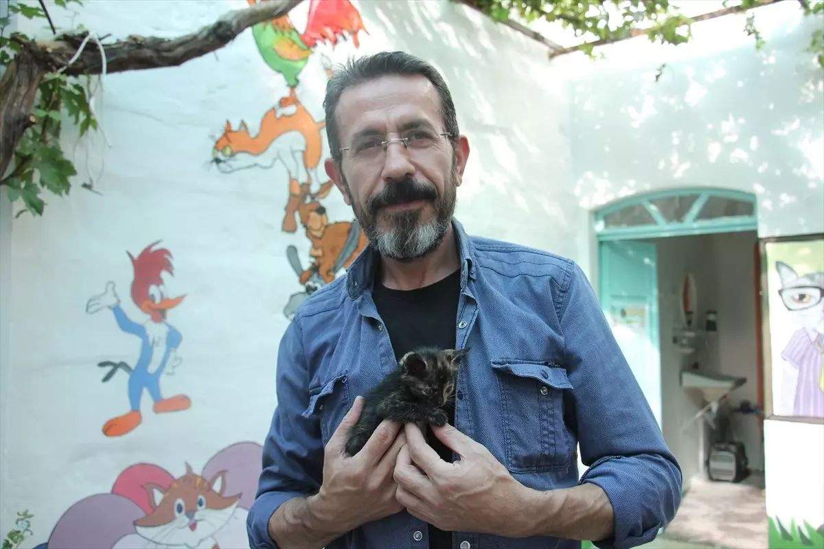 Kilis\'te Hayvanseverlerden Kedi Bakımı