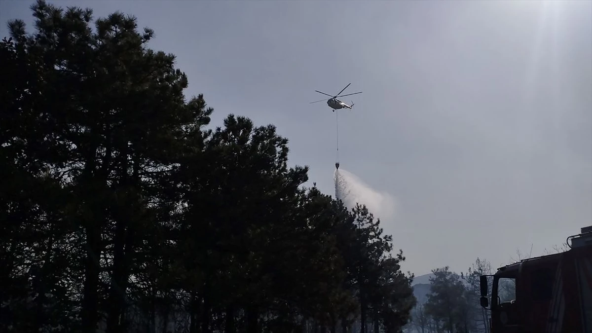 Gebze\'deki Orman Yangını Kontrol Altına Alındı