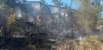 Pendik'te otluk alanda çıkan yangın söndürüldü