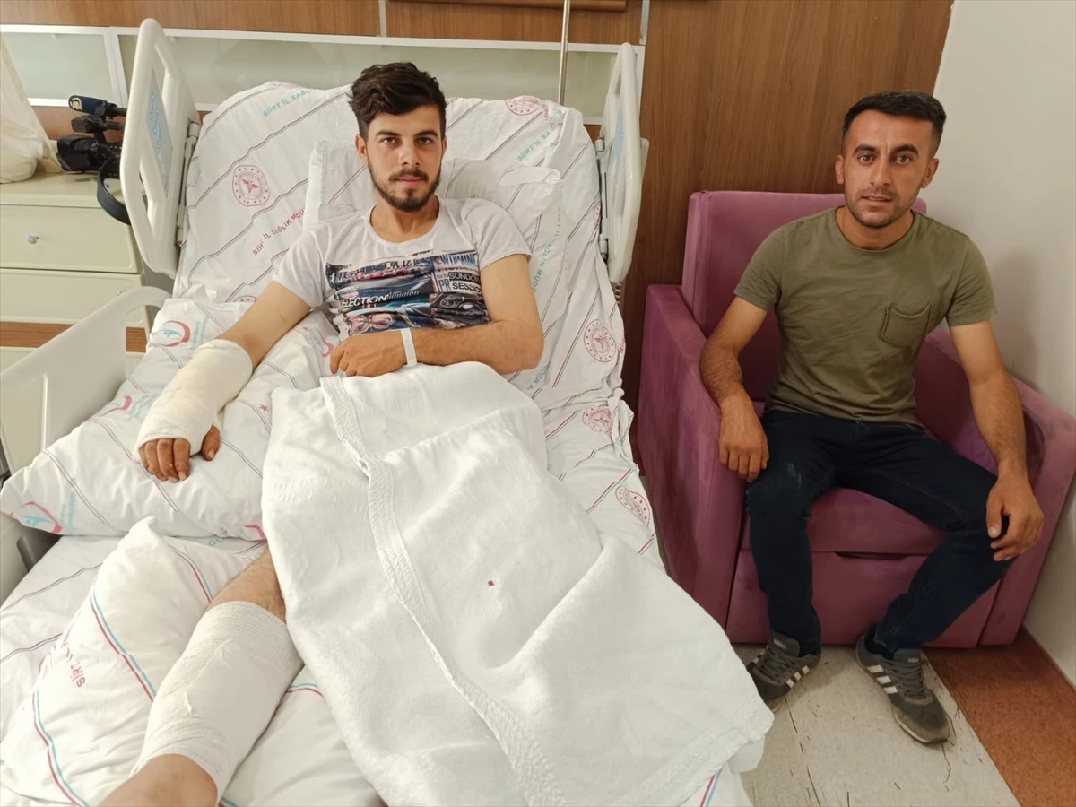Siirt\'te Ayı Saldırısına Uğrayan Genç Hastaneye Kaldırıldı