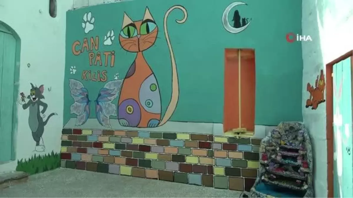 Sokak Hayvanlarına 15 Yıldır Babalık Yapan Hayvansever