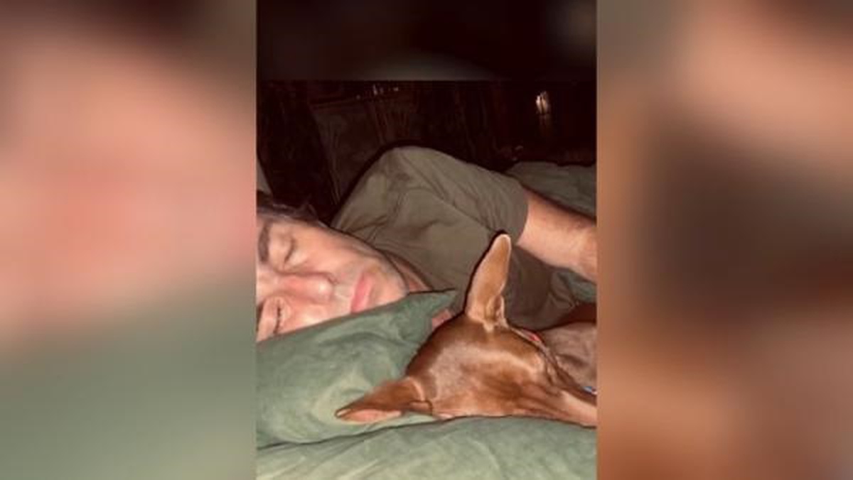 Oasis\'in solisti Liam Gallagher, Tayland\'da terk edilmiş bir sokak köpeğini sahiplendi