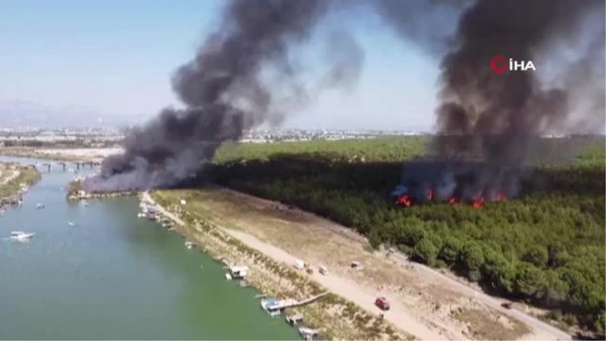 Antalya\'da çıkan yangında 3 tekne zarar gördü, ormanlık alana sıçradı