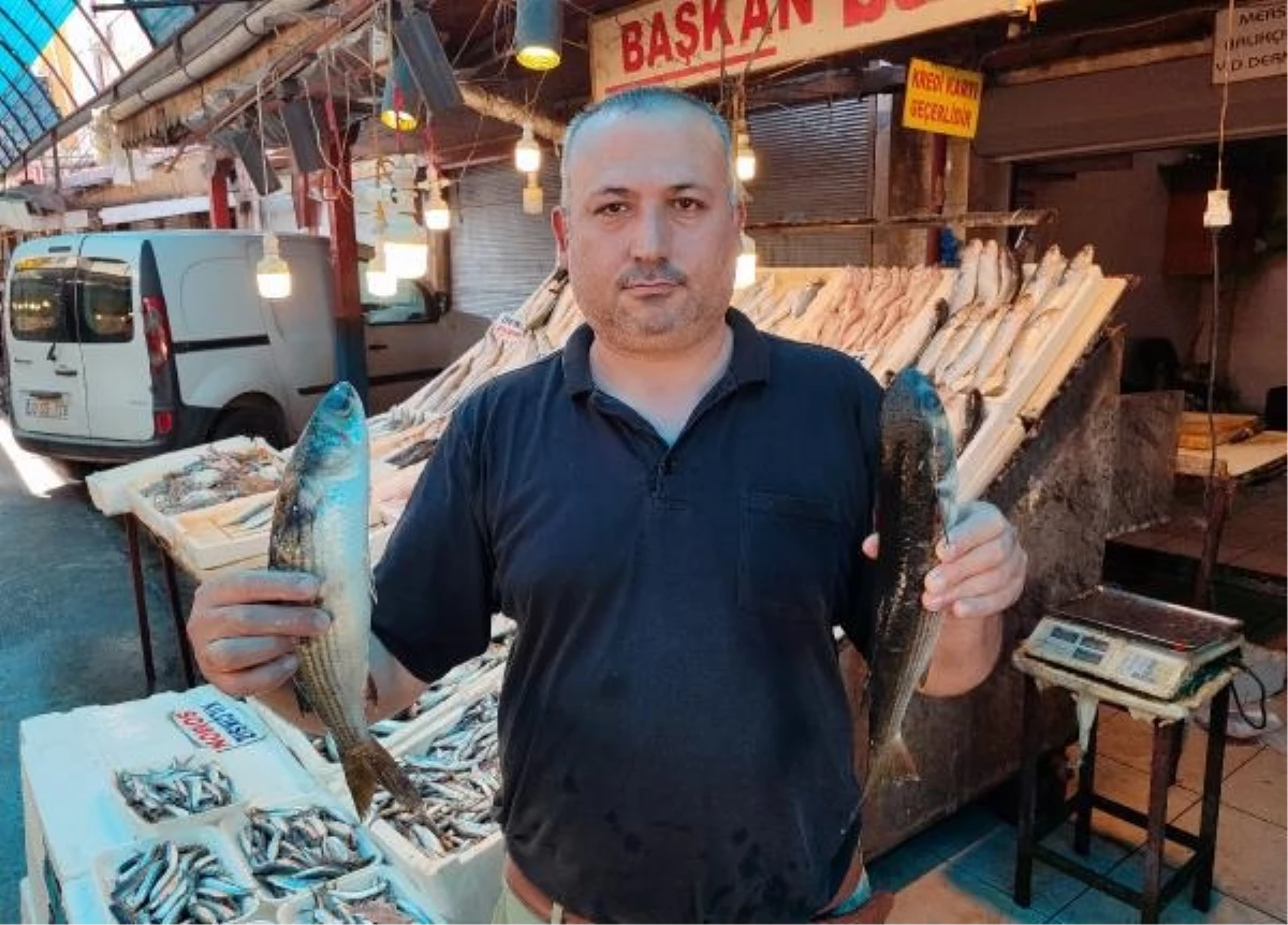 Mersin\'de Balık Fiyatları Yüzde 80 Ucuzladı