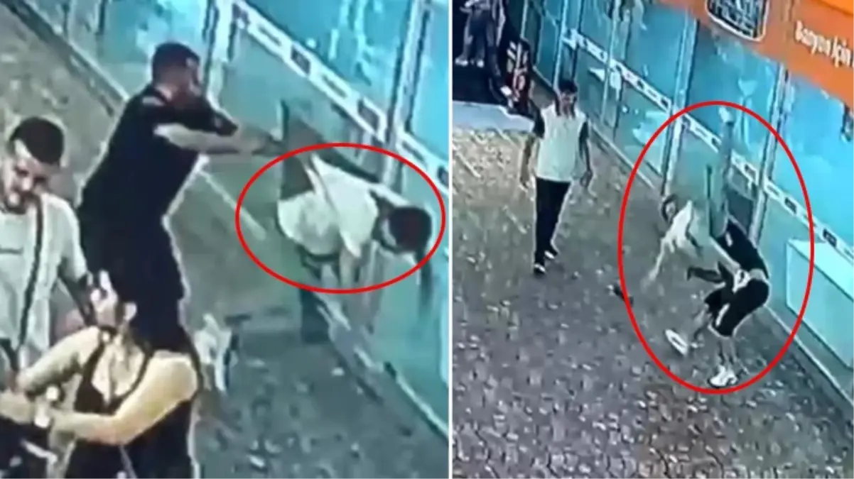 İstanbul\'da AVM\'de "yan baktın" kavgası! Feci şekilde dövülen genç yoğun bakıma alındı