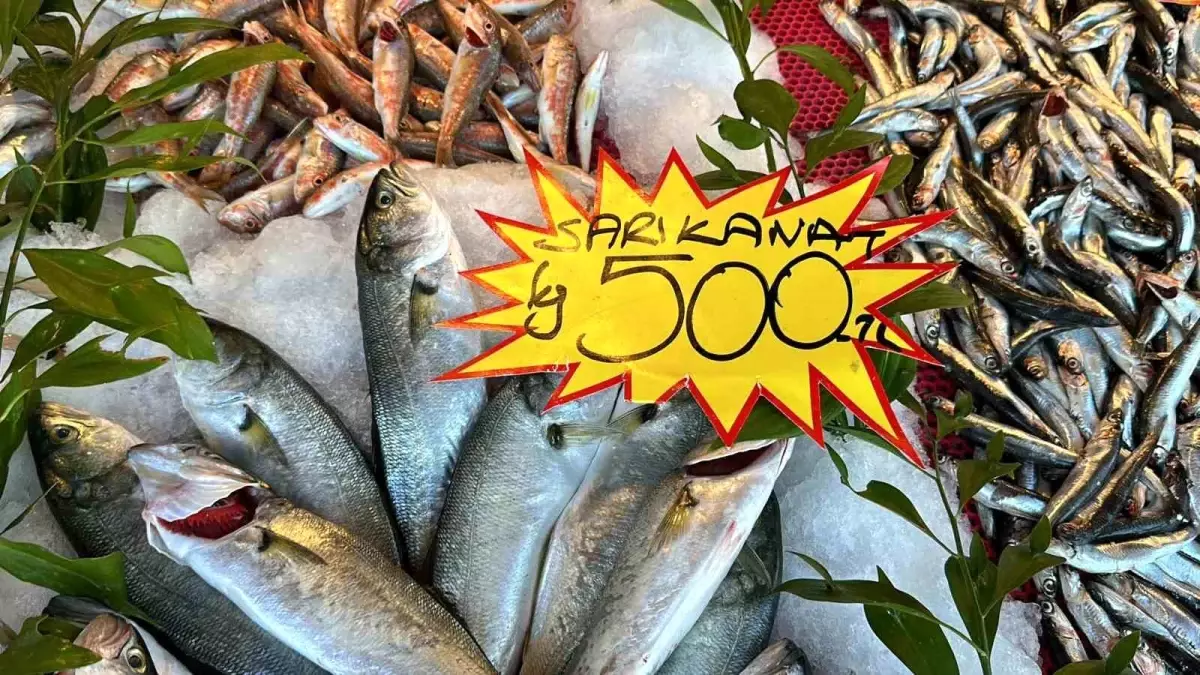 Hava Şartları Nedeniyle Balık Fiyatları Yükseldi