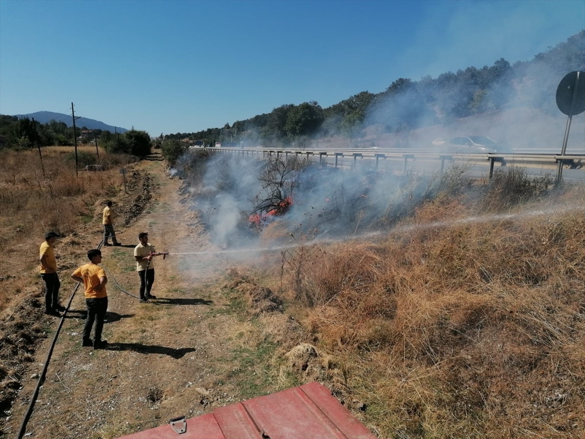 Bilecik\'te Kara Yolu Kenarındaki Yangın Söndürüldü