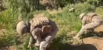 Bingöl'de 'Narko Terör' Operasyonunda 3 Milyon Kök Hint Keneviri Ele Geçirildi