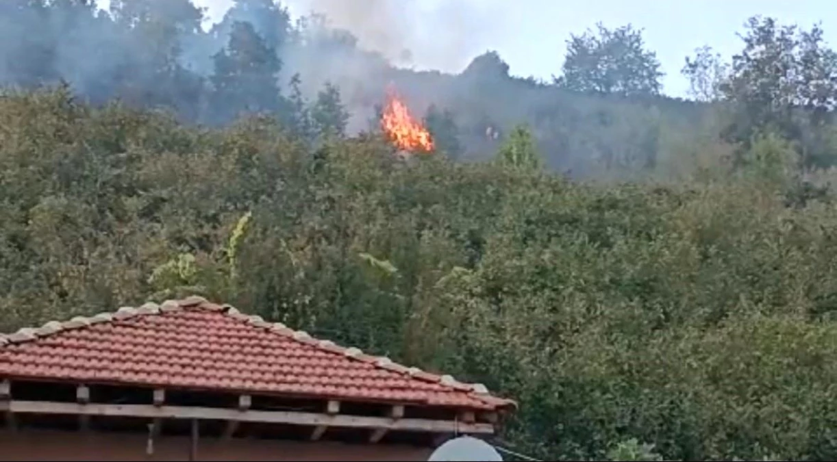Düzce\'de Fındıklık Yangını Ormana Sıçradı