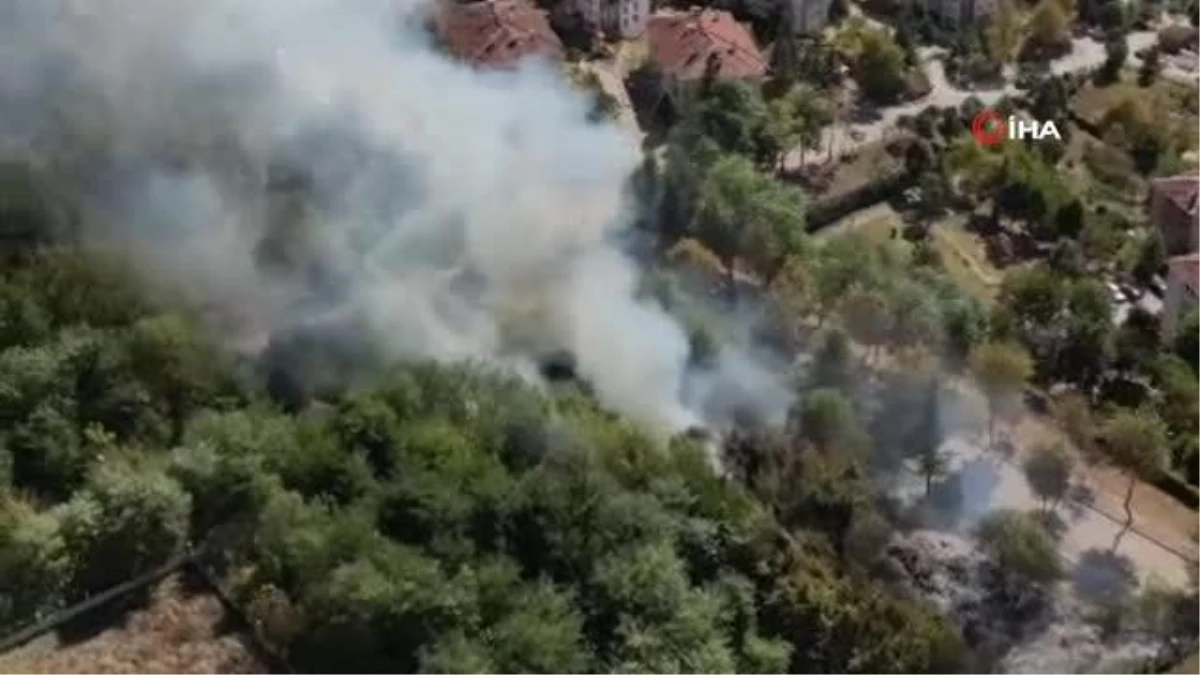 Düzce\'de Orman Yangını: Kirpi Kurtarıldı, Yangın Kundaklama Sonucu Çıktı