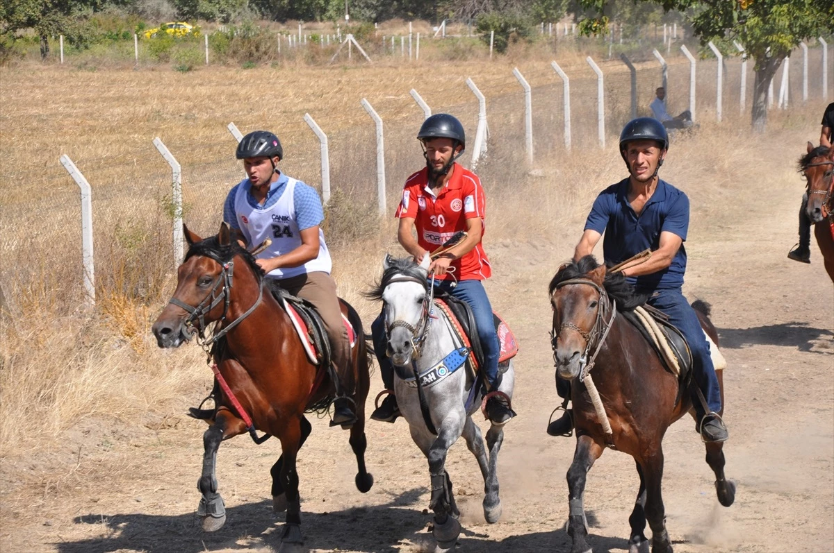 Gümüşhacıköy Belediyesi tarafından düzenlenen 100. Yıl Cumhuriyet Koşusu rahvan at yarışları yapıldı