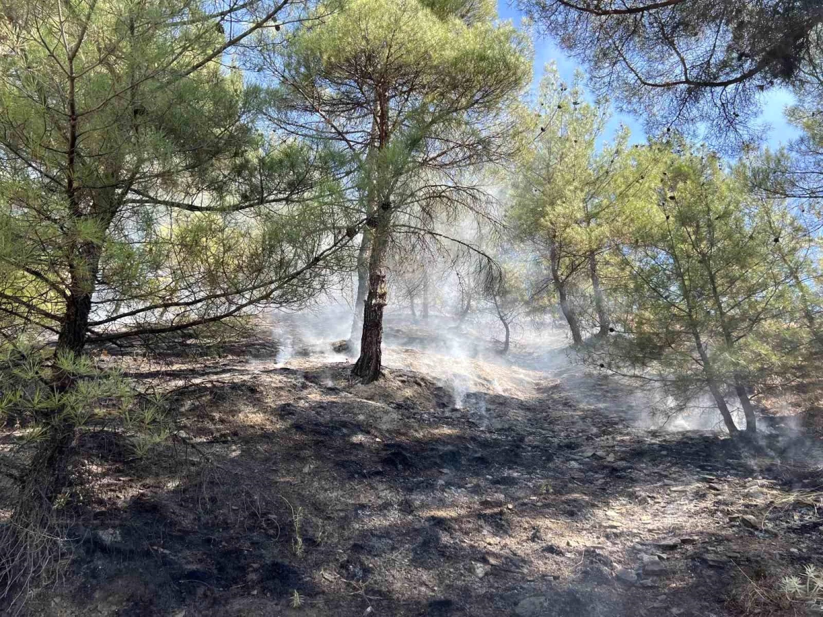 Kastamonu\'da Orman Yangını Kontrol Altına Alındı