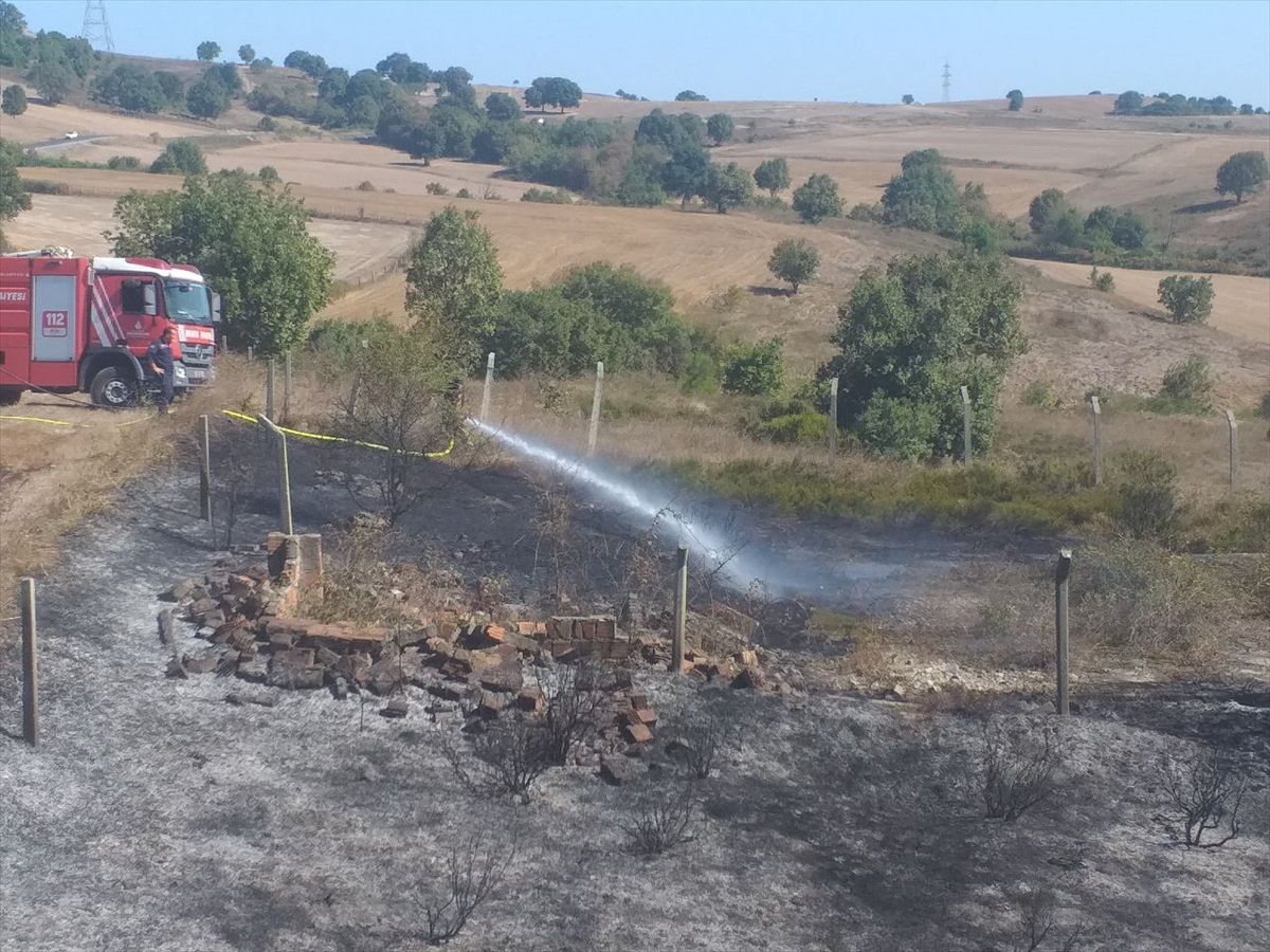 Sancaktepe'de ağaçlık alanda çıkan yangın söndürüldü