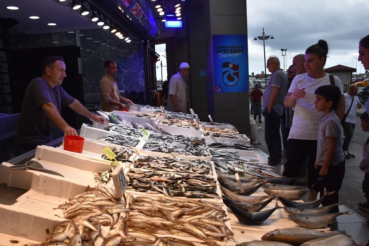 Trabzon\'da Denizlerde Av Yasağı Sonrası Balık Çeşitliliği Arttı